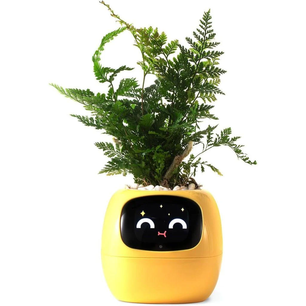 ivy-smart-plant-pot-evolved-chargers_11 Ivy Smart Plant Pot Evolved Chargers 11