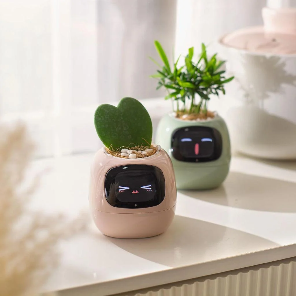 ivy-smart-plant-pot-evolved-chargers_12 Ivy Smart Plant Pot Evolved Chargers 12