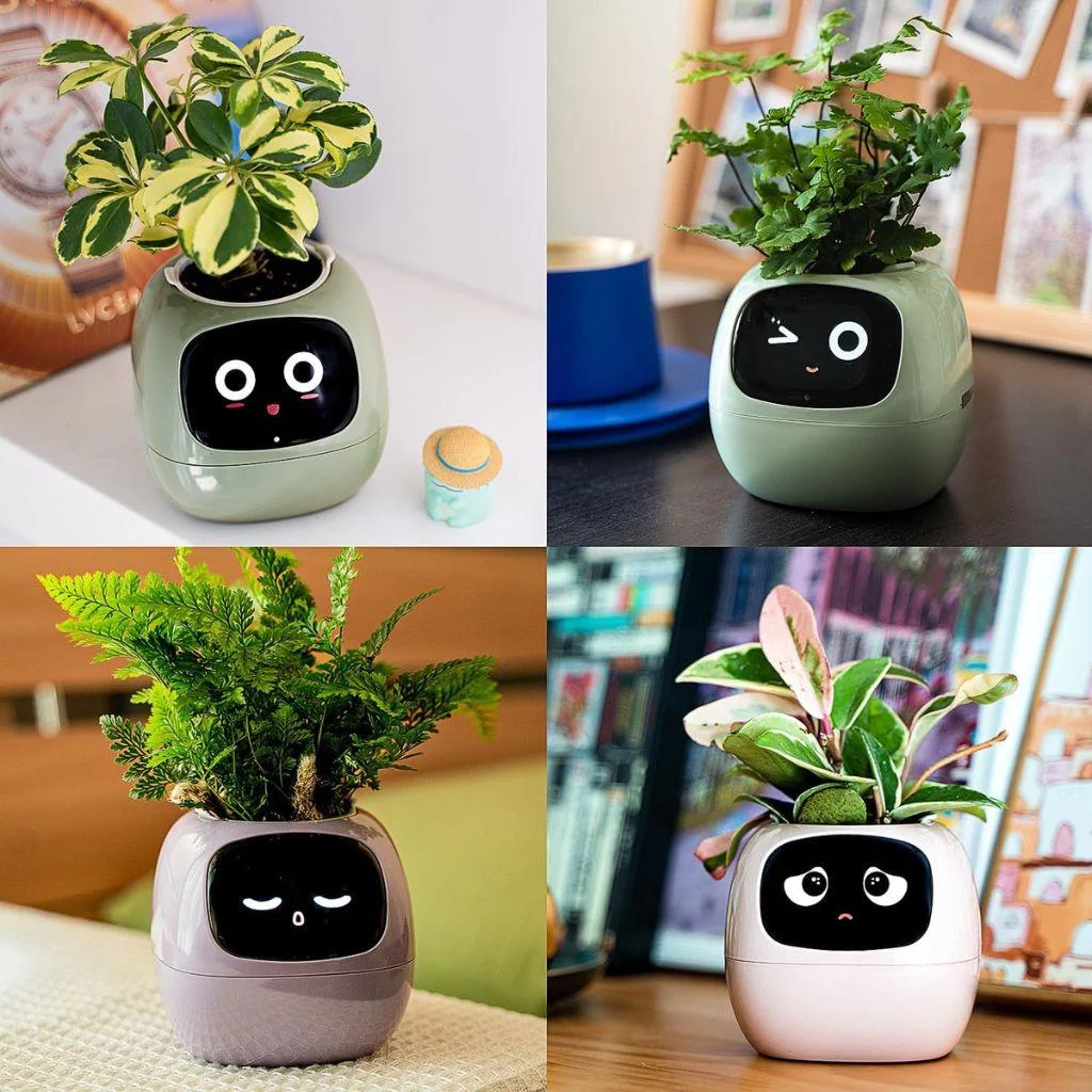 ivy-smart-plant-pot-evolved-chargers_14 Ivy Smart Plant Pot Evolved Chargers 14