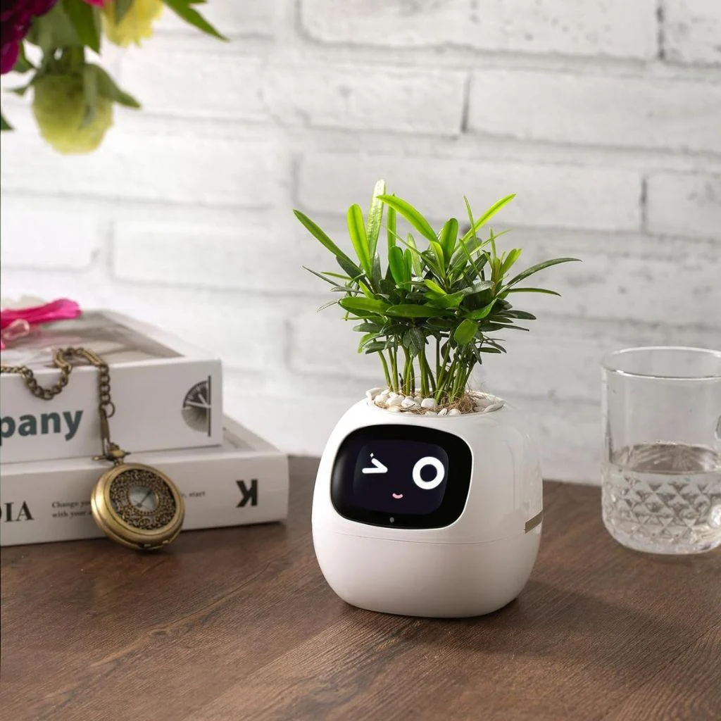 ivy-smart-plant-pot-evolved-chargers_2 Ivy Smart Plant Pot Evolved Chargers 2