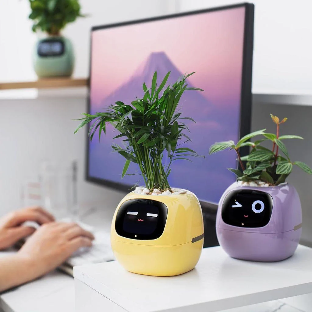 ivy-smart-plant-pot-evolved-chargers_3 Ivy Smart Plant Pot Evolved Chargers 3