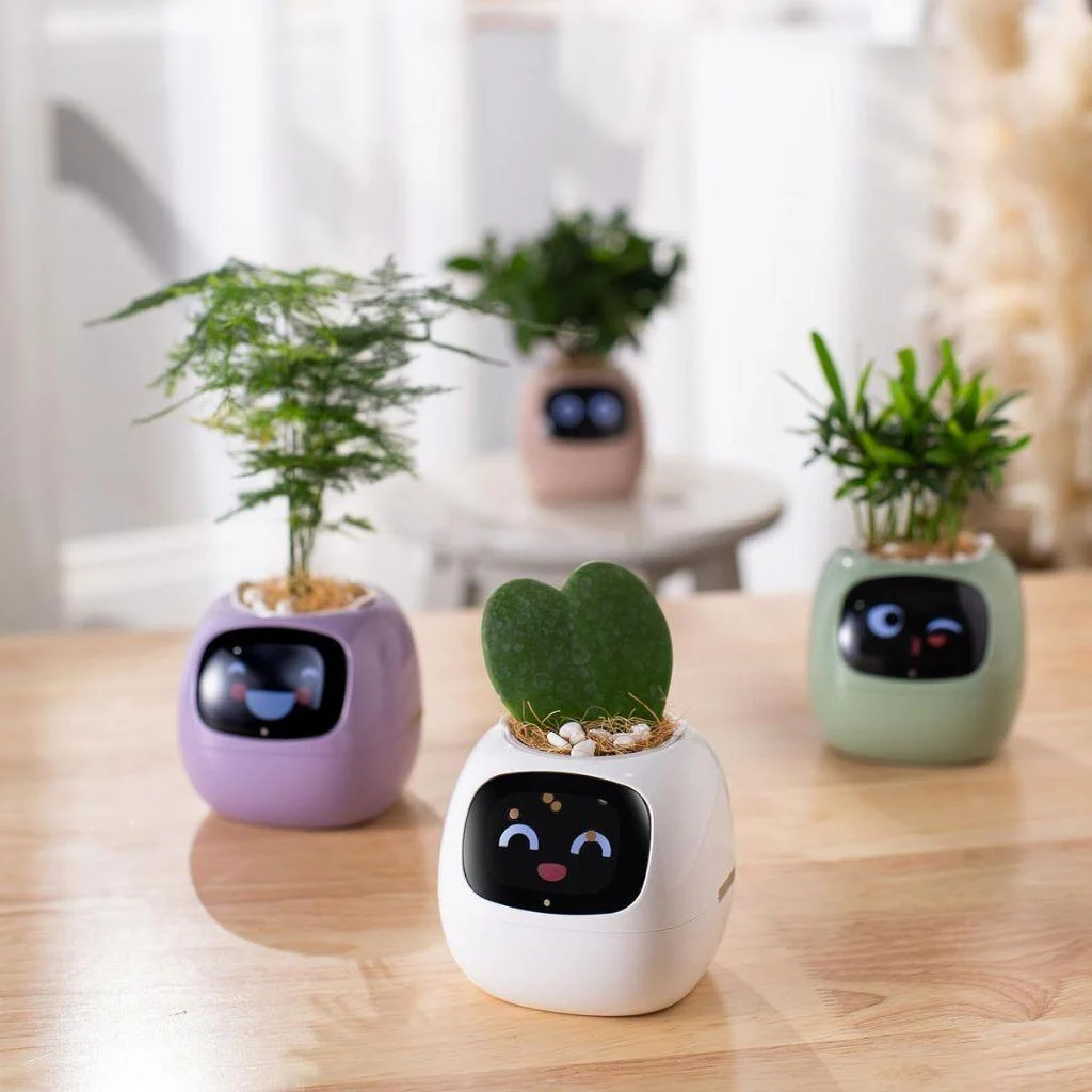 ivy-smart-plant-pot-evolved-chargers_4 Ivy Smart Plant Pot Evolved Chargers 4