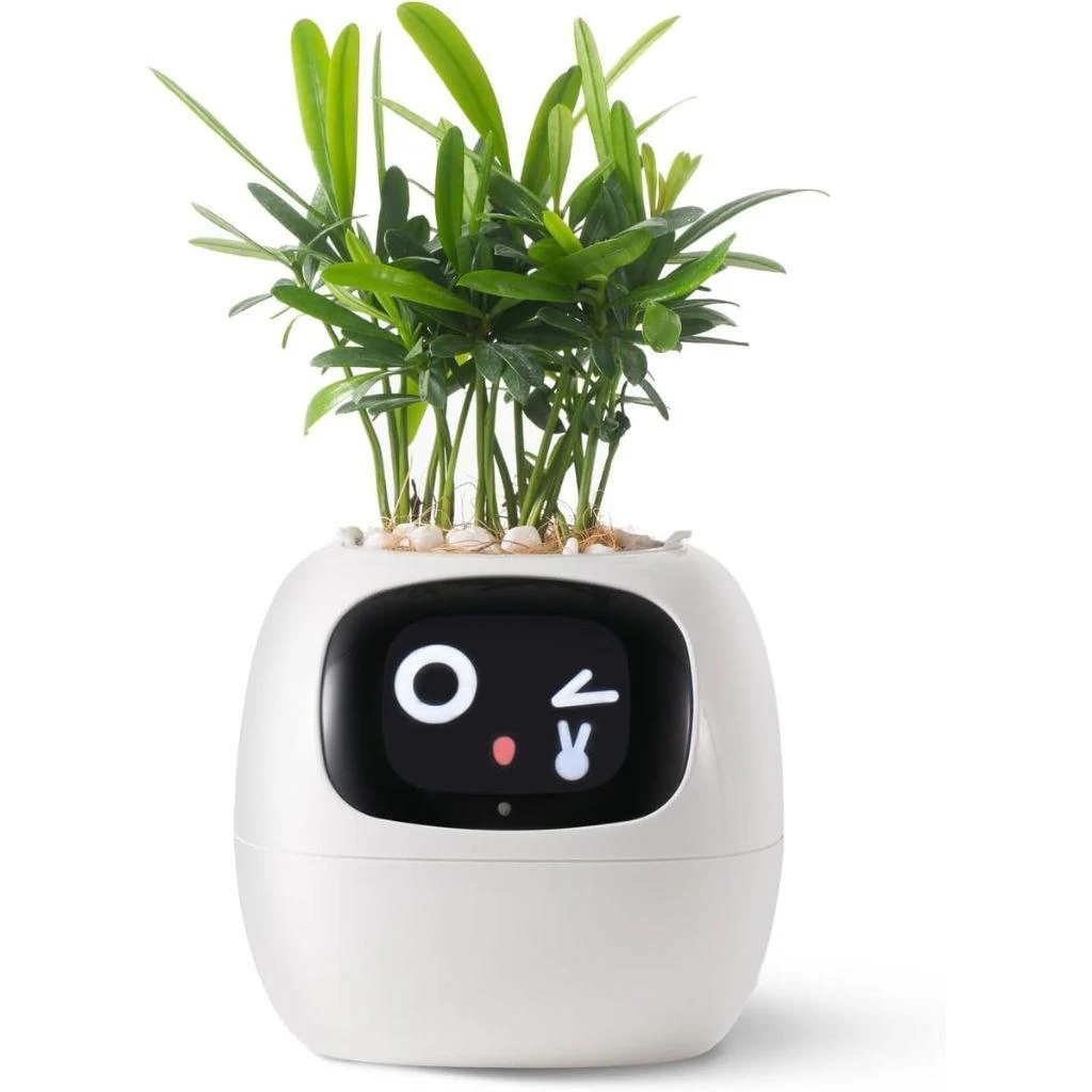 ivy-smart-plant-pot-evolved-chargers_7 Ivy Smart Plant Pot Evolved Chargers 7