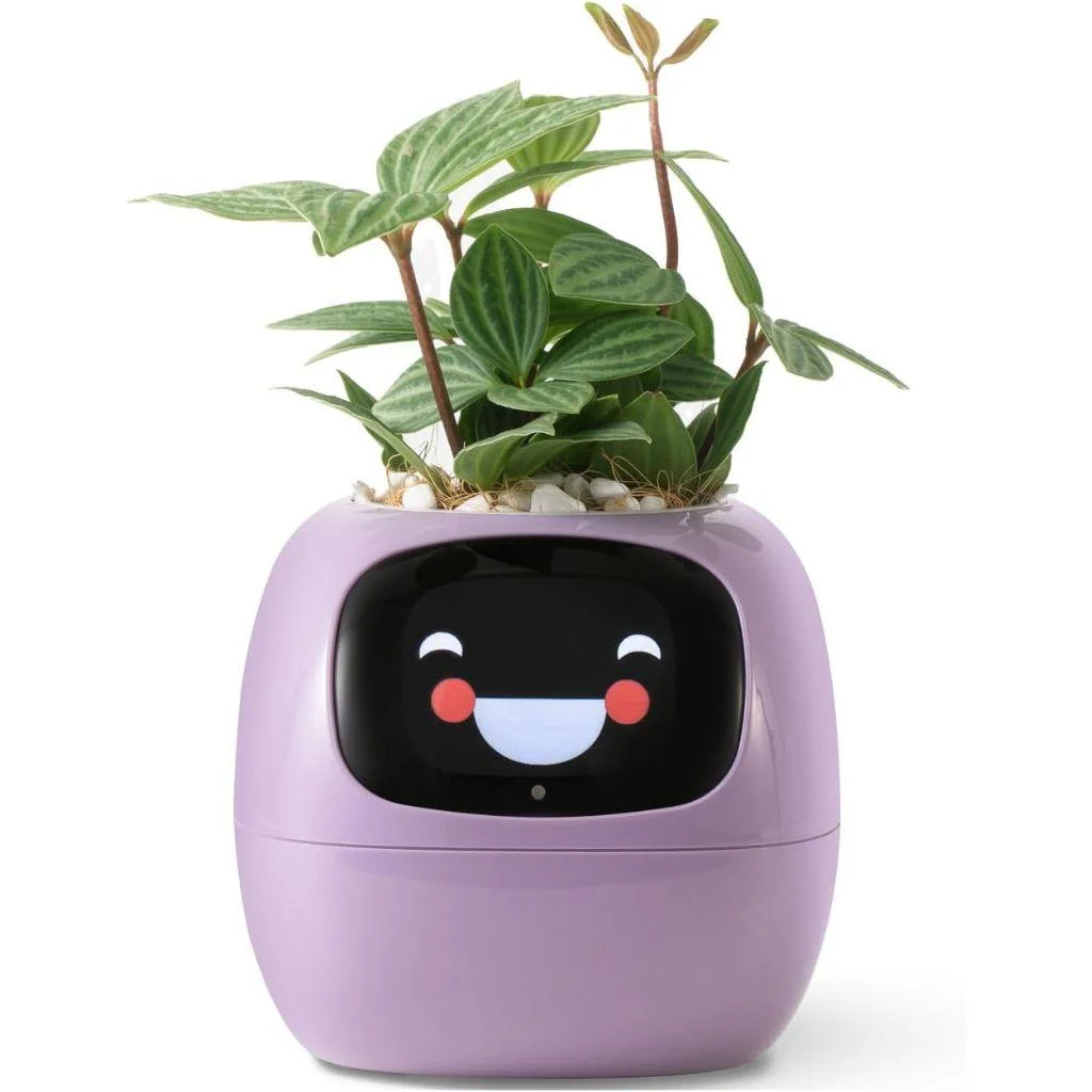 ivy-smart-plant-pot-evolved-chargers_8 Ivy Smart Plant Pot Evolved Chargers 8