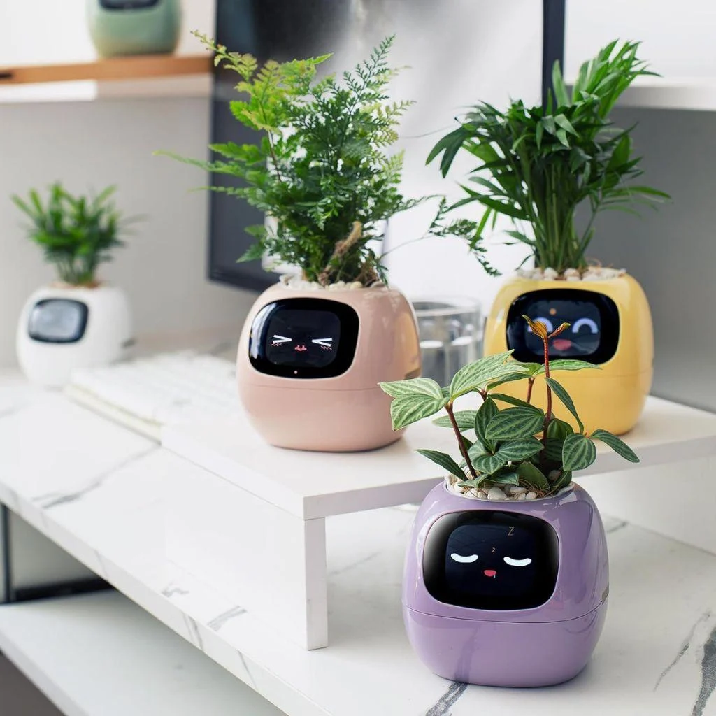 ivy-smart-plant-pot-evolved-chargers_9 Ivy Smart Plant Pot Evolved Chargers 9
