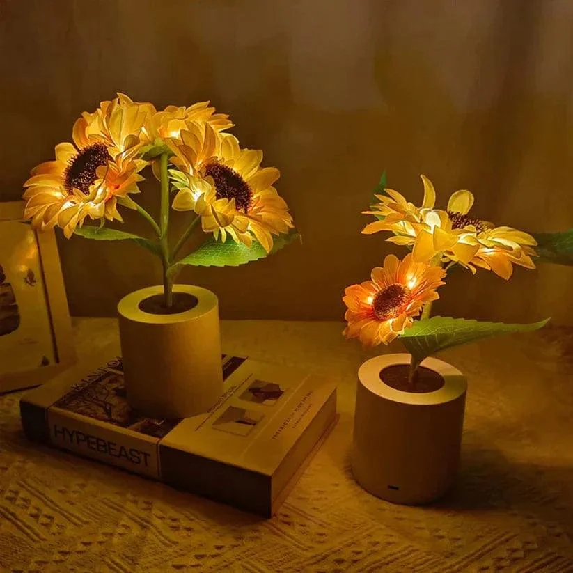 Jardioui A B Veilleuse Tournesol Esthetique Lumineuse 56971220025681