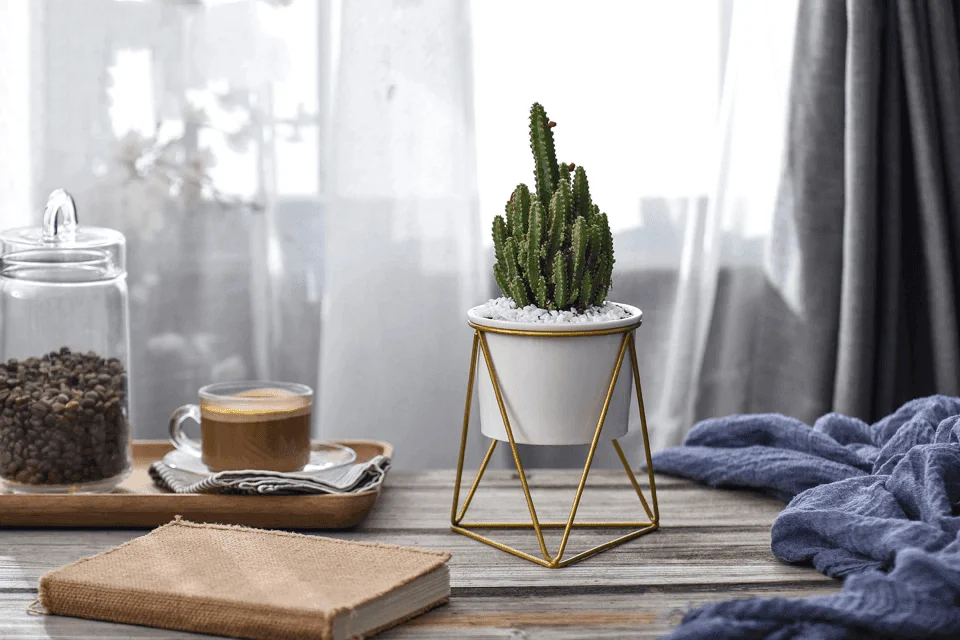 meina-flower-pot-mademoiselle-home-decor-and-furniture-store-2 Meina Flower Pot Mademoiselle Home Decor And Furniture Store 2