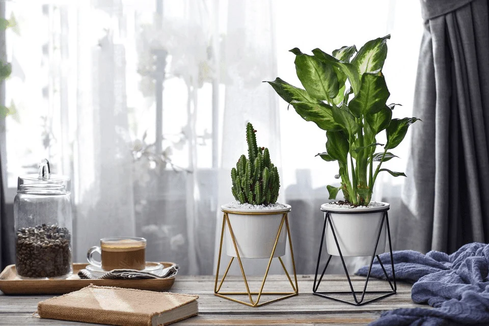 meina-flower-pot-mademoiselle-home-decor-and-furniture-store-5 Meina Flower Pot Mademoiselle Home Decor And Furniture Store 5