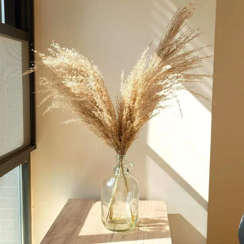 Pampas Grass Decor Plants Home Wedding Decor Dried Flowers Bunch Feather Flowers Natural Phragmites Tall 20 2a604c9f 73fc 428c 9d1e C22957f69804