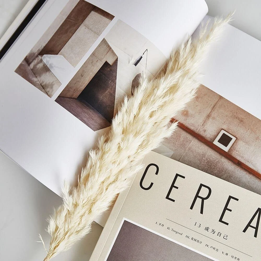 pampas-grass-decor-white-color-fluffy-na_main-2 Pampas Grass Decor White Color Fluffy Na Main 2