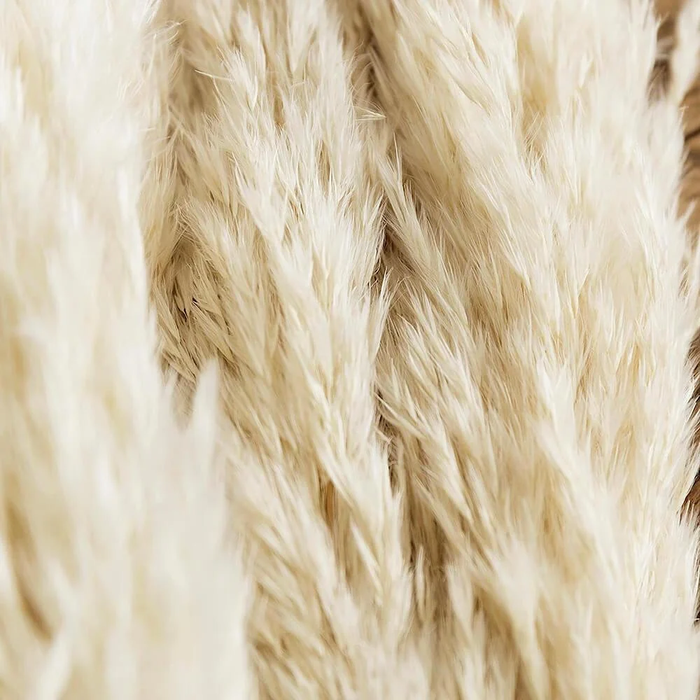 pampas-grass-decor-white-color-fluffy-na_main-3 Pampas Grass Decor White Color Fluffy Na Main 3