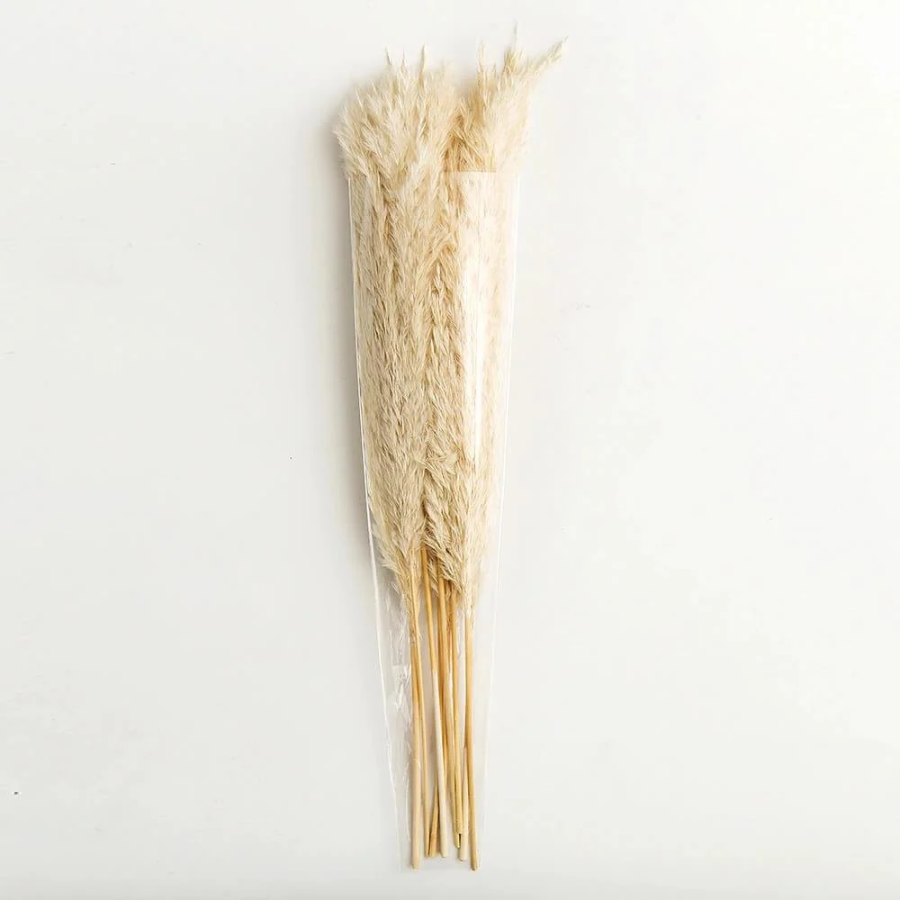 pampas-grass-decor-white-color-fluffy-na_main-5_82f02ac6-af9b-4fdb-a1b9-f7173aa54a6a Pampas Grass Decor White Color Fluffy Na Main 5 82f02ac6 Af9b 4fdb A1b9 F7173aa54a6a