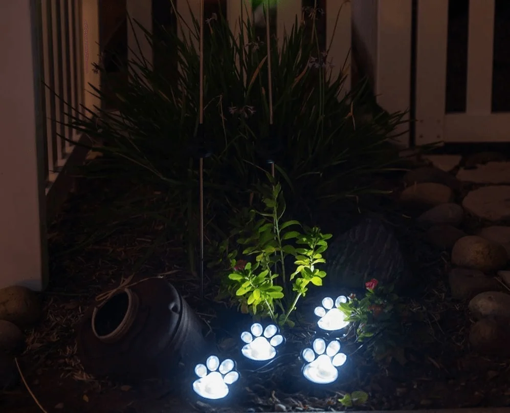 pawled1 Pawled1