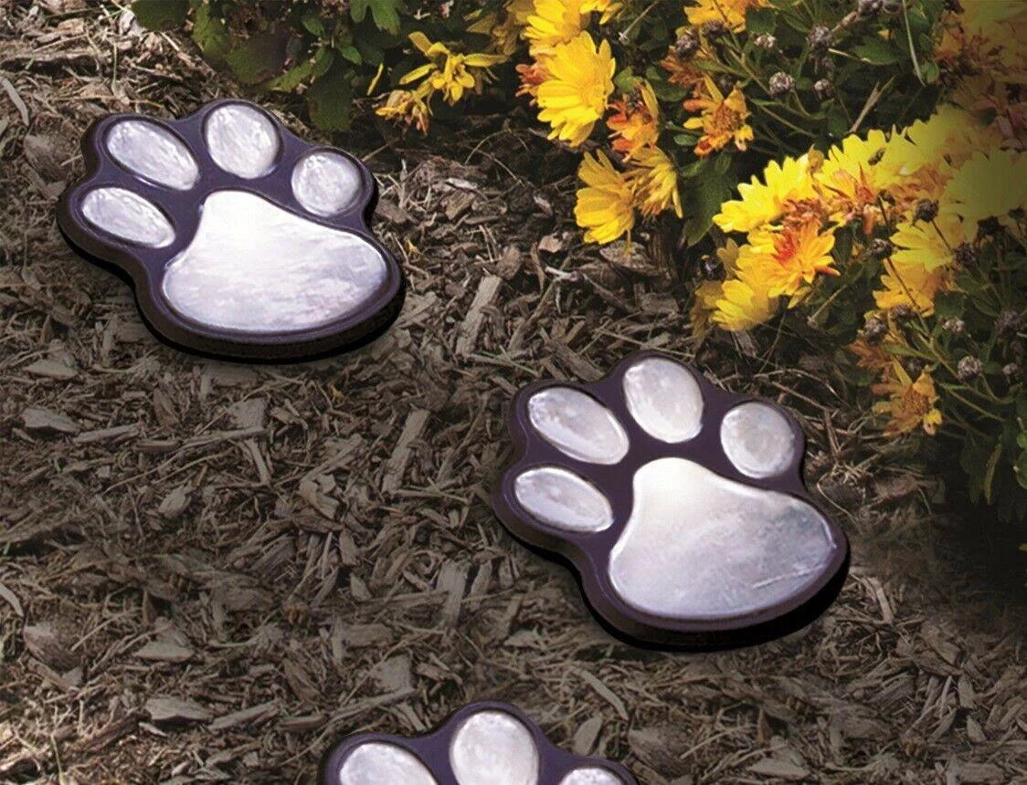 pawled4 Pawled4