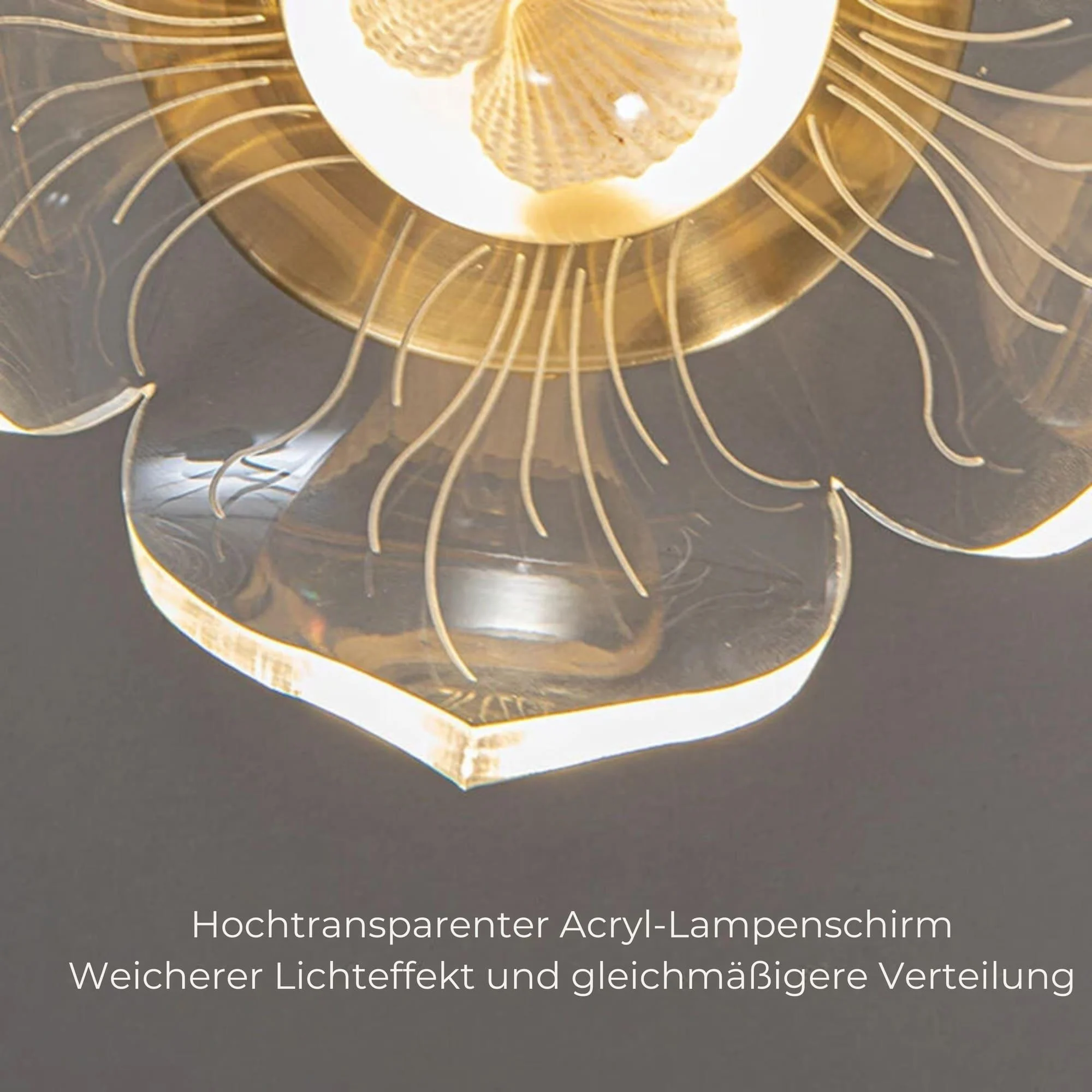 petalshine-led-wandleuchte-modern-bluetenblatt-design-warmweiss-licht-wohnzimmer-xlumina_7 Petalshine Led Wandleuchte Modern Bluetenblatt Design Warmweiss Licht Wohnzimmer Xlumina 7