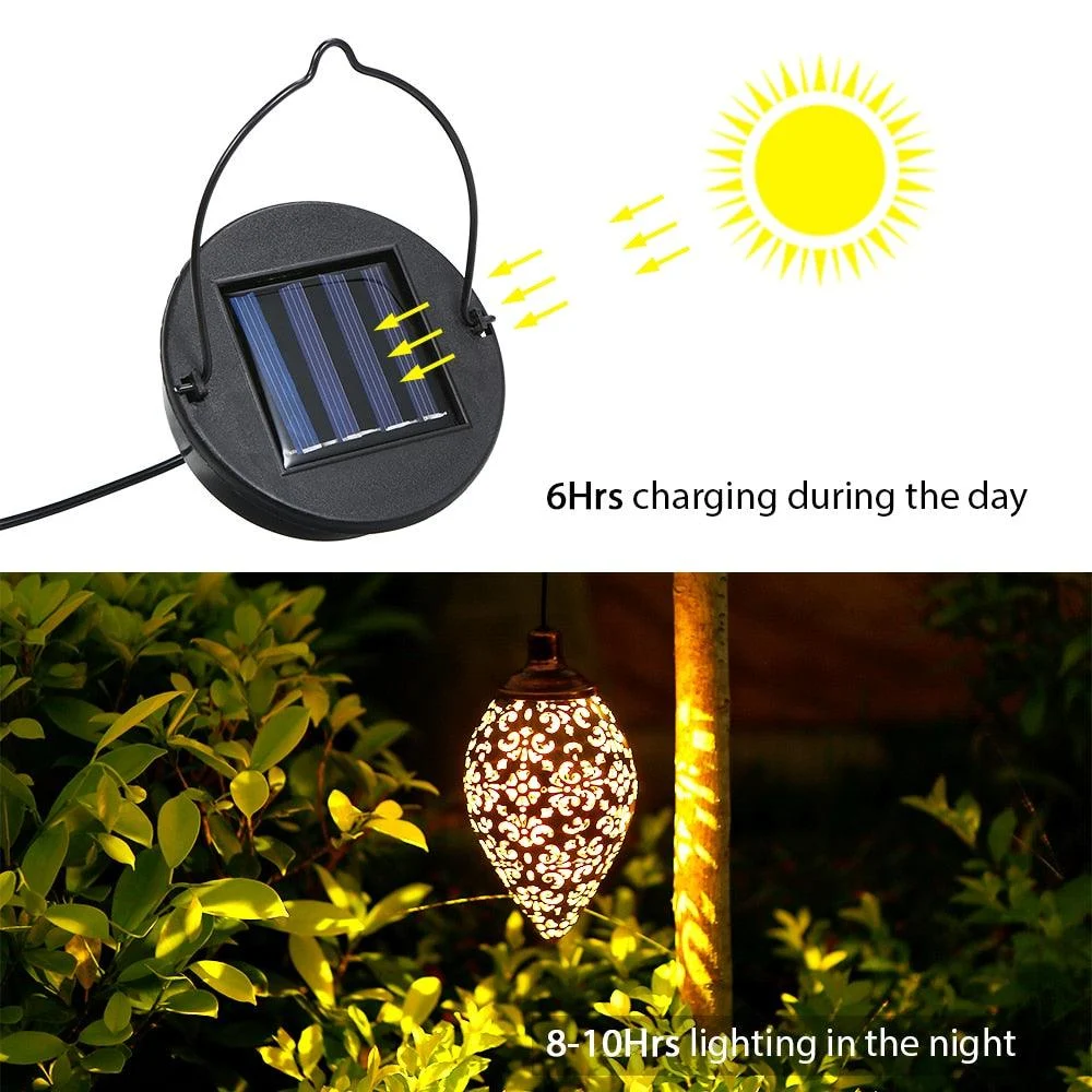 product-image-1243170827 Product Image 1243170827