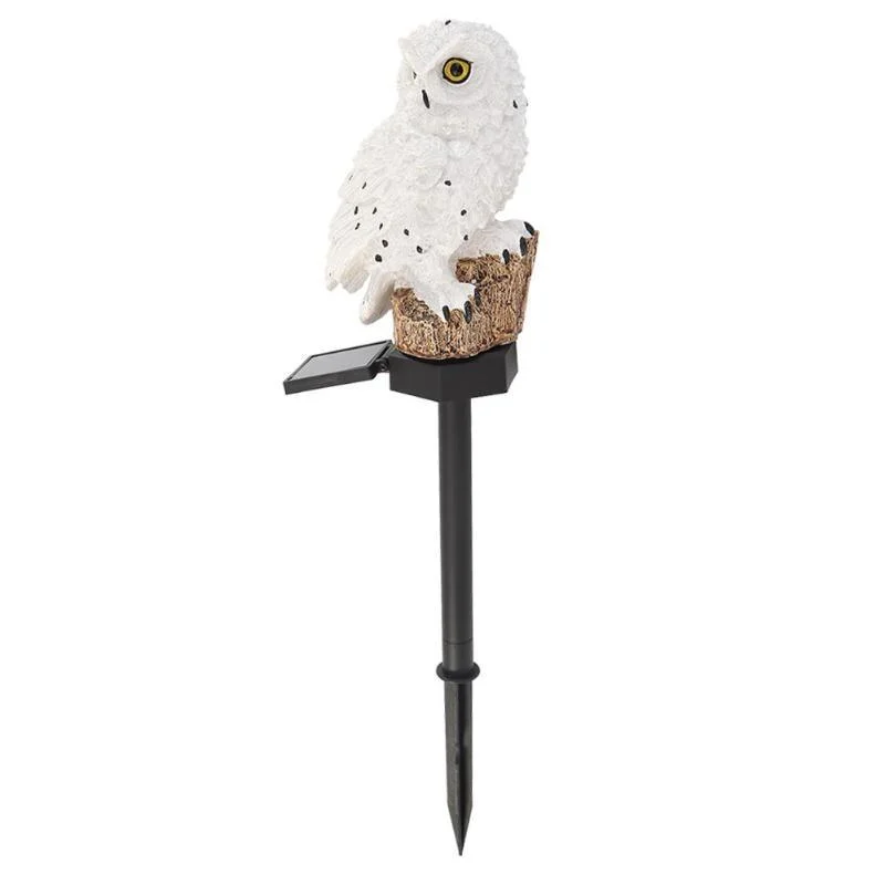 product-image-1321687143 Product Image 1321687143