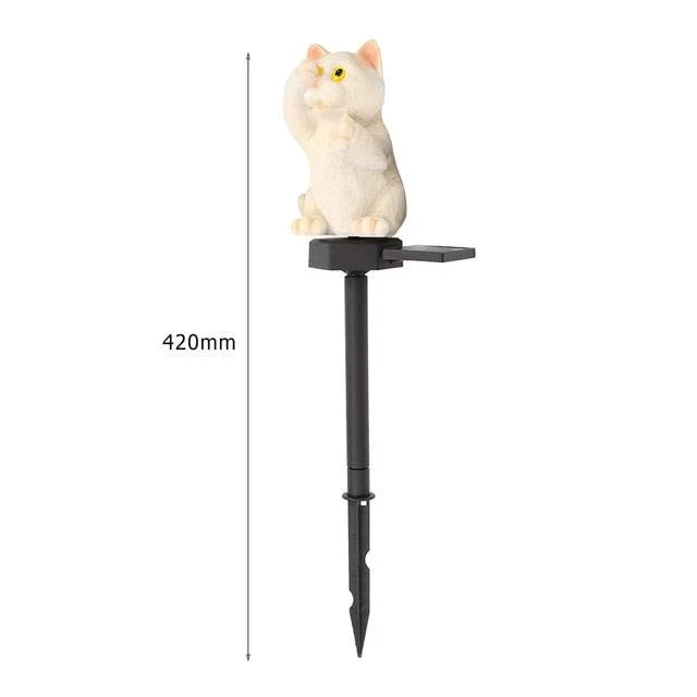product-image-1348849714 Product Image 1348849714