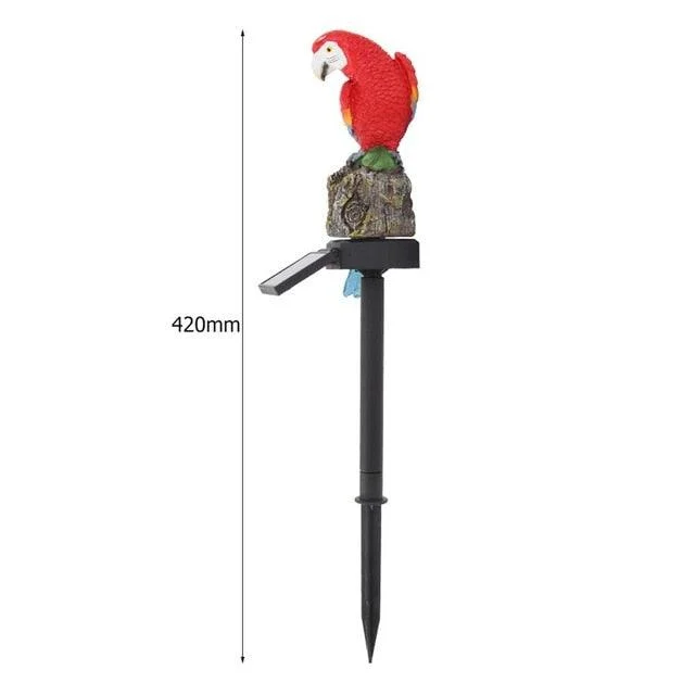 product-image-1348849722 Product Image 1348849722