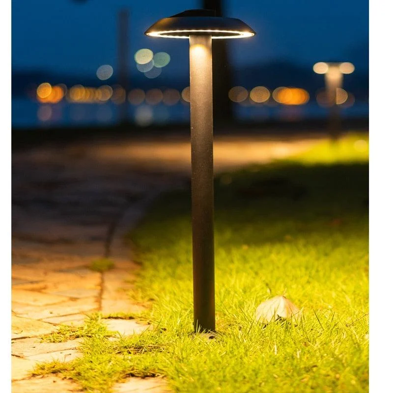product-image-1351677966 Product Image 1351677966