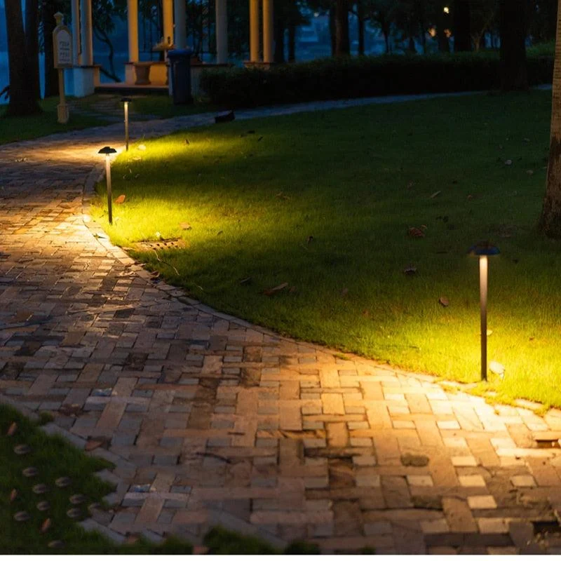 product-image-1351677967 Product Image 1351677967