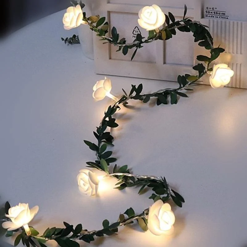 Product Image 1408000688