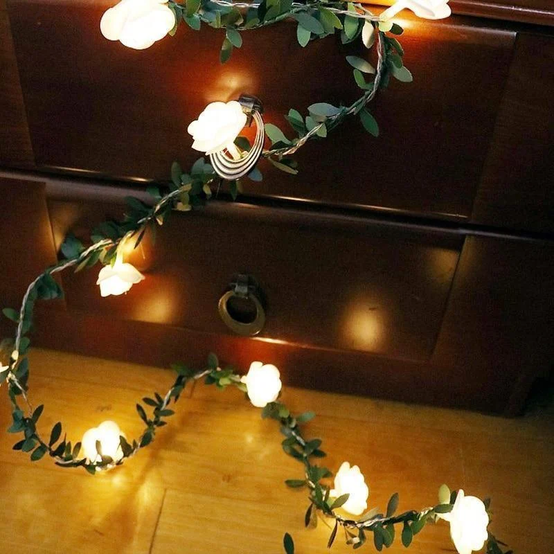 product-image-1408000692 Product Image 1408000692
