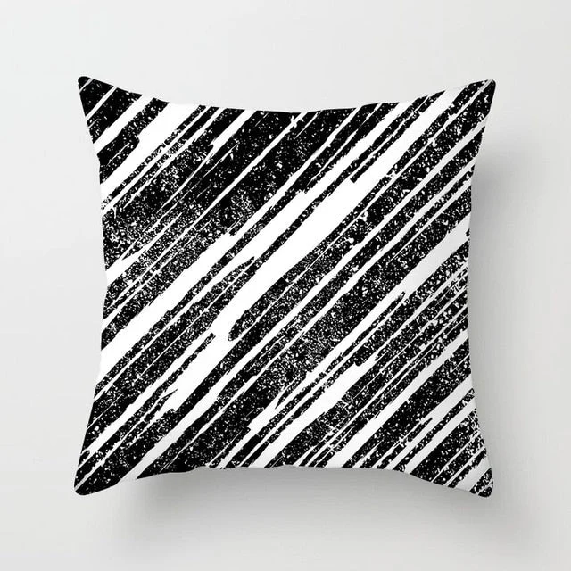 Product Image 1427546993