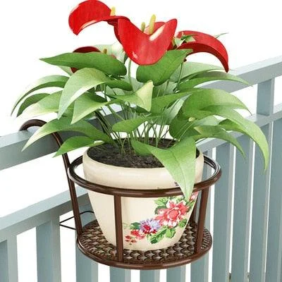 product-image-1456633493 Product Image 1456633493
