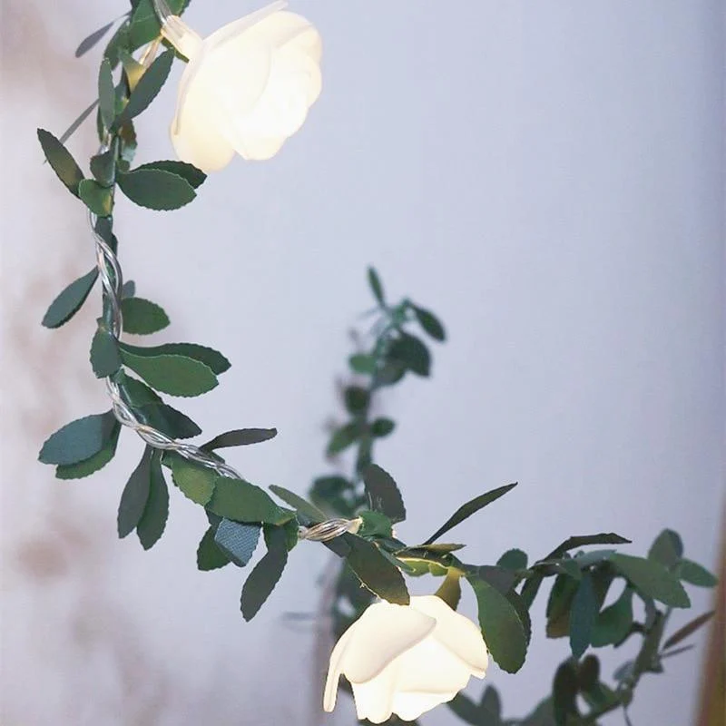 product-image-1550934268 Product Image 1550934268