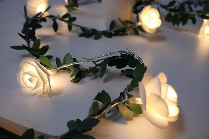 product-image-1550934273 Product Image 1550934273
