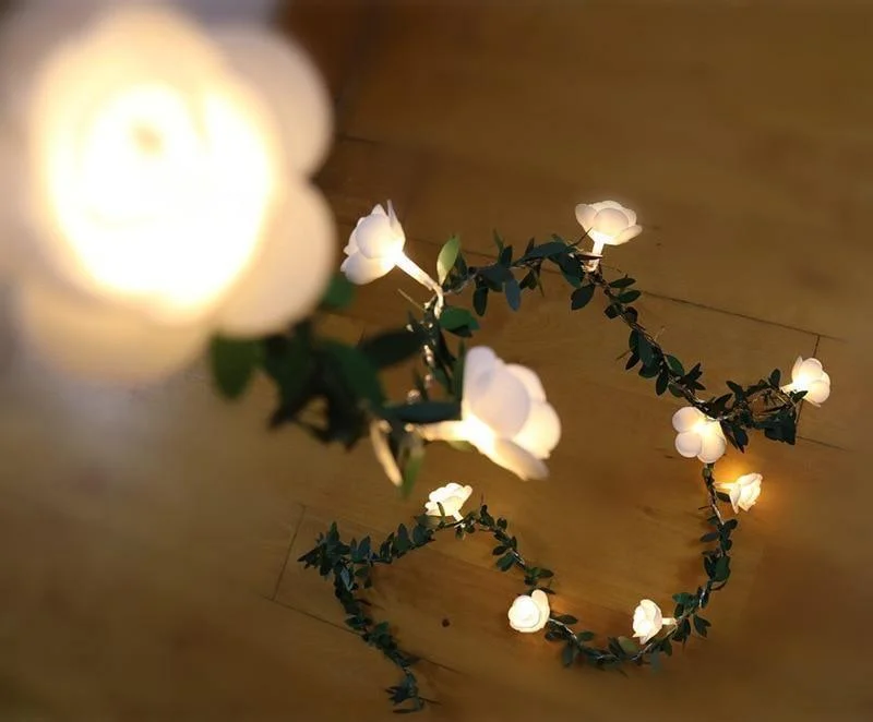 product-image-1550934275 Product Image 1550934275