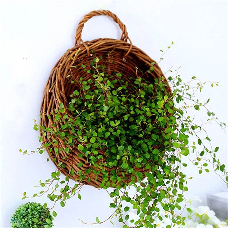 Product Image 1683915160