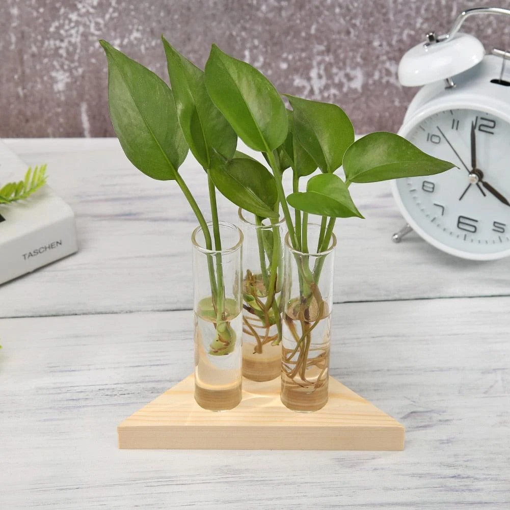 product-image-1736349094 Product Image 1736349094