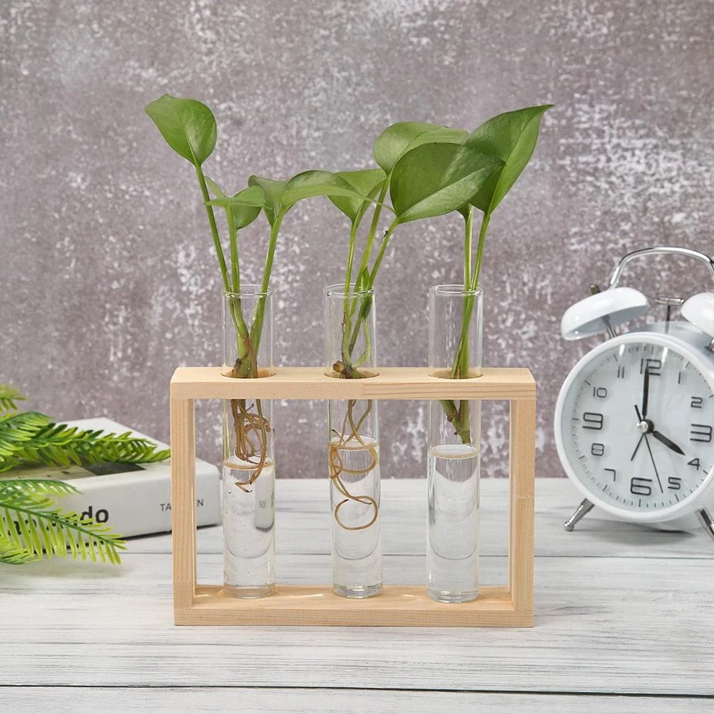 product-image-1736349095 Product Image 1736349095