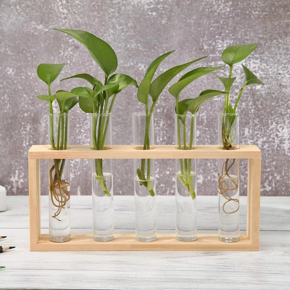Product Image 1736349096
