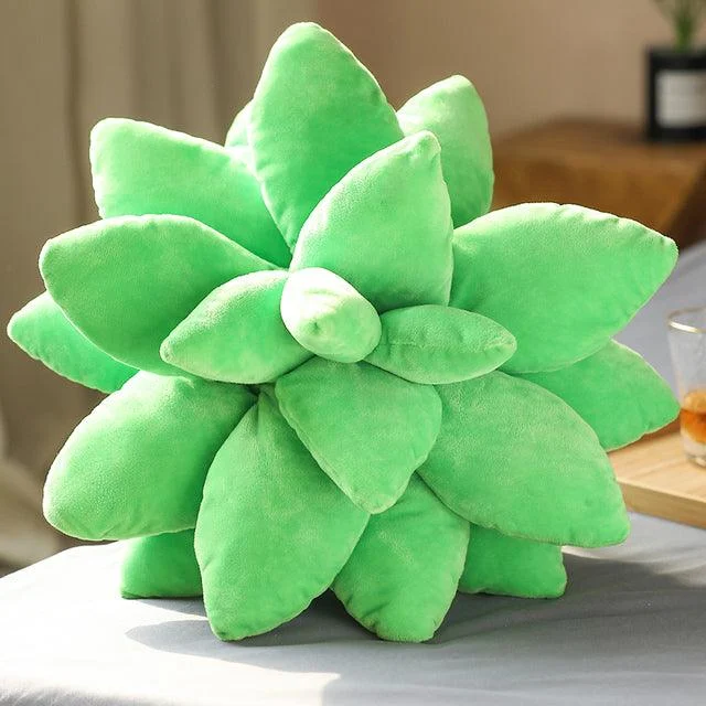 product-image-1769379929 Product Image 1769379929