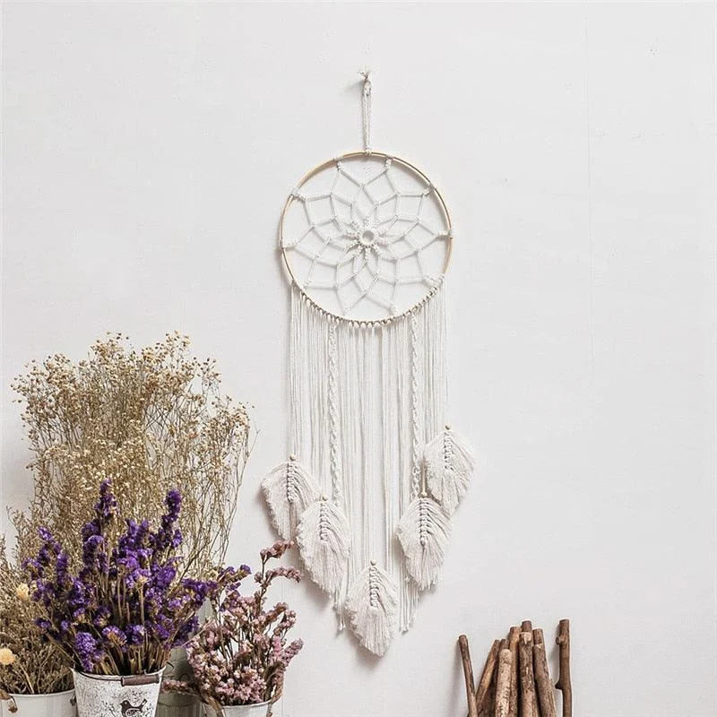 product-image-1781646437 Product Image 1781646437