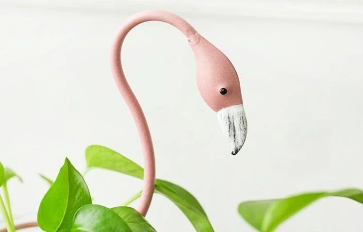 product-image-1808950644 Product Image 1808950644