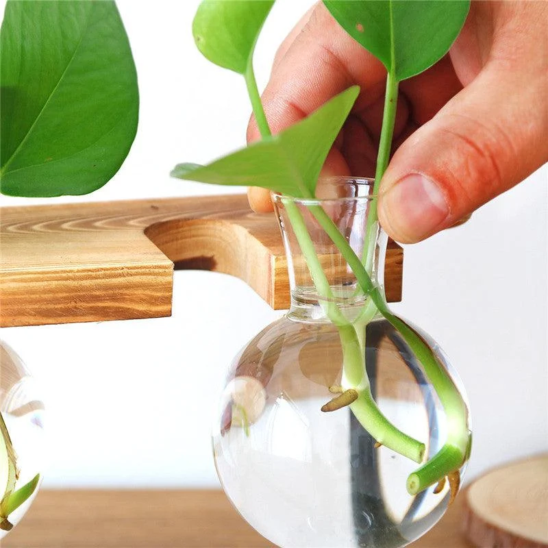 Product Image 1842261541