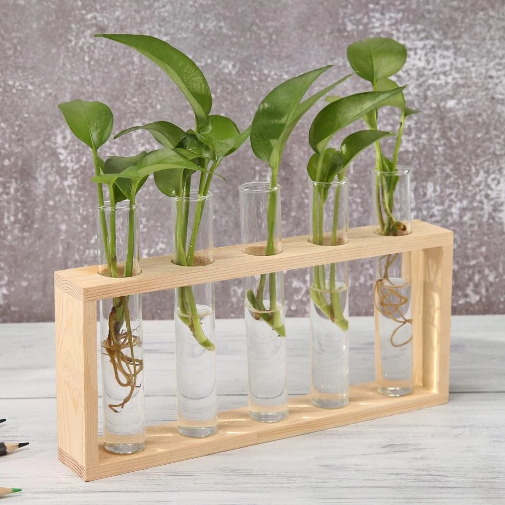 Product Image 1842923852