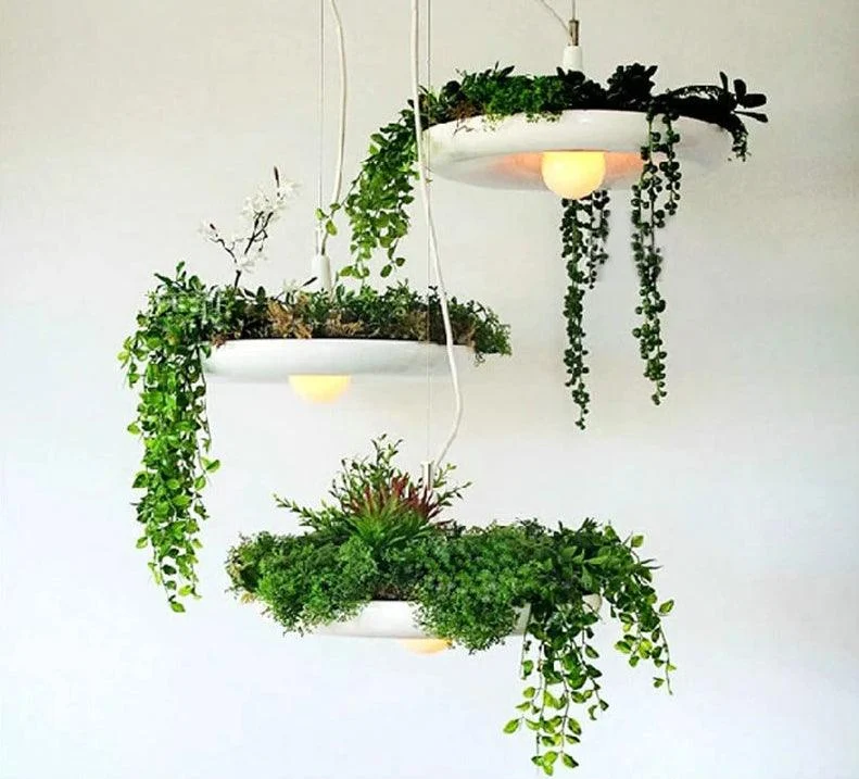 product-image-647386782 Product Image 647386782