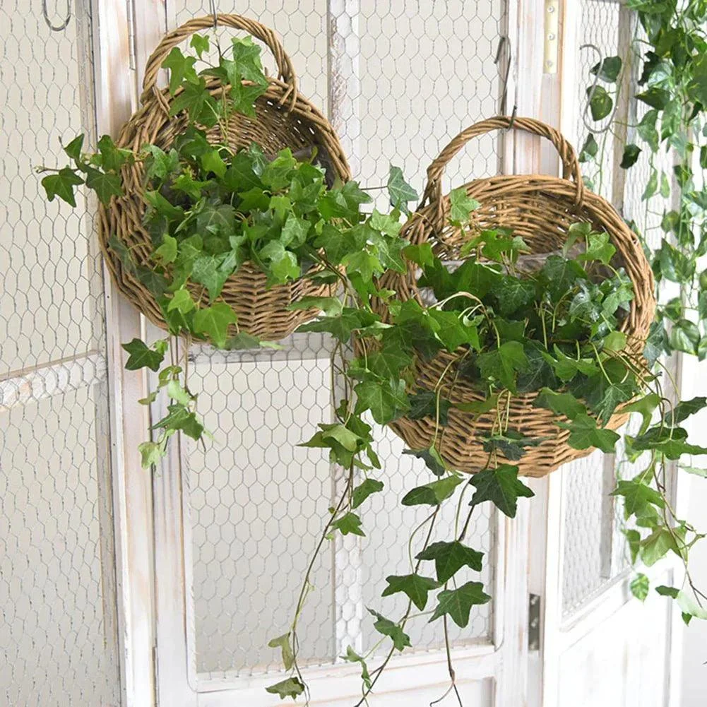 rattan-hanging-wall-planter-746393 Rattan Hanging Wall Planter 746393