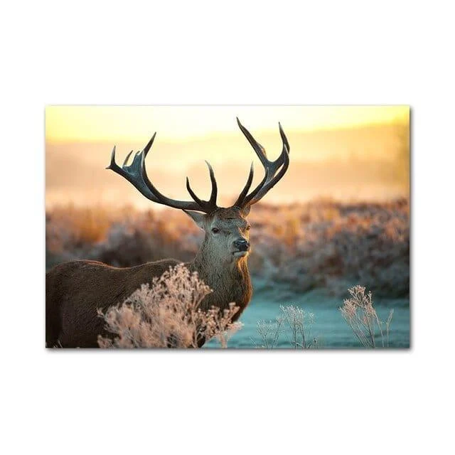 remarkable-canvas-mademoiselle-home-decor-and-furniture-store-12 Remarkable Canvas Mademoiselle Home Decor And Furniture Store 12
