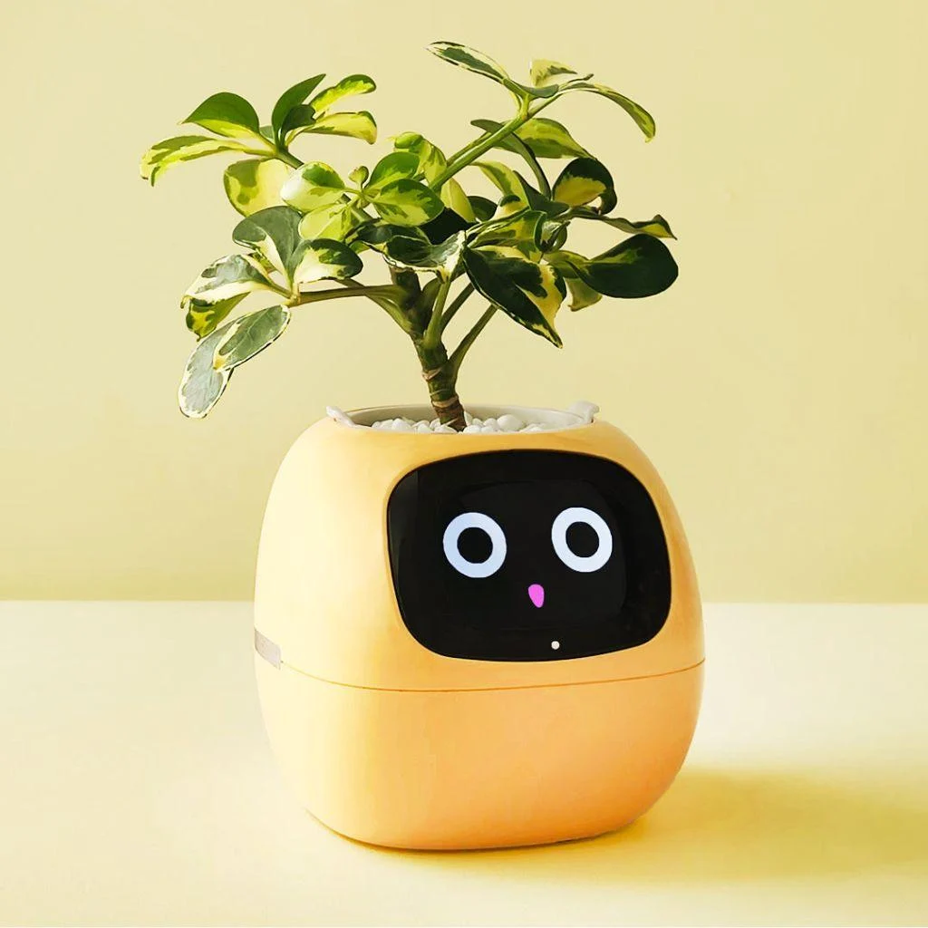 smart-plant-ivy-evolved_10 Smart Plant Ivy Evolved 10