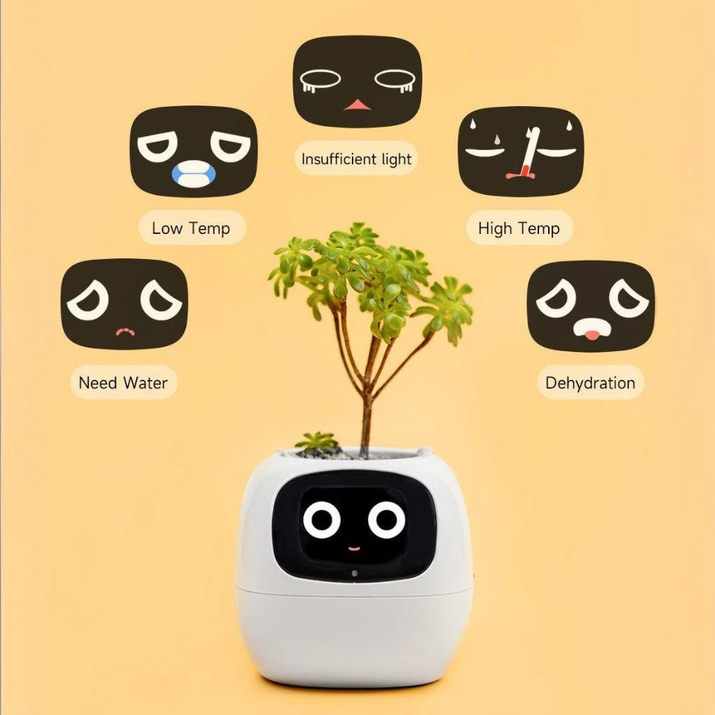 smart-plant-ivy-evolved_11 Smart Plant Ivy Evolved 11