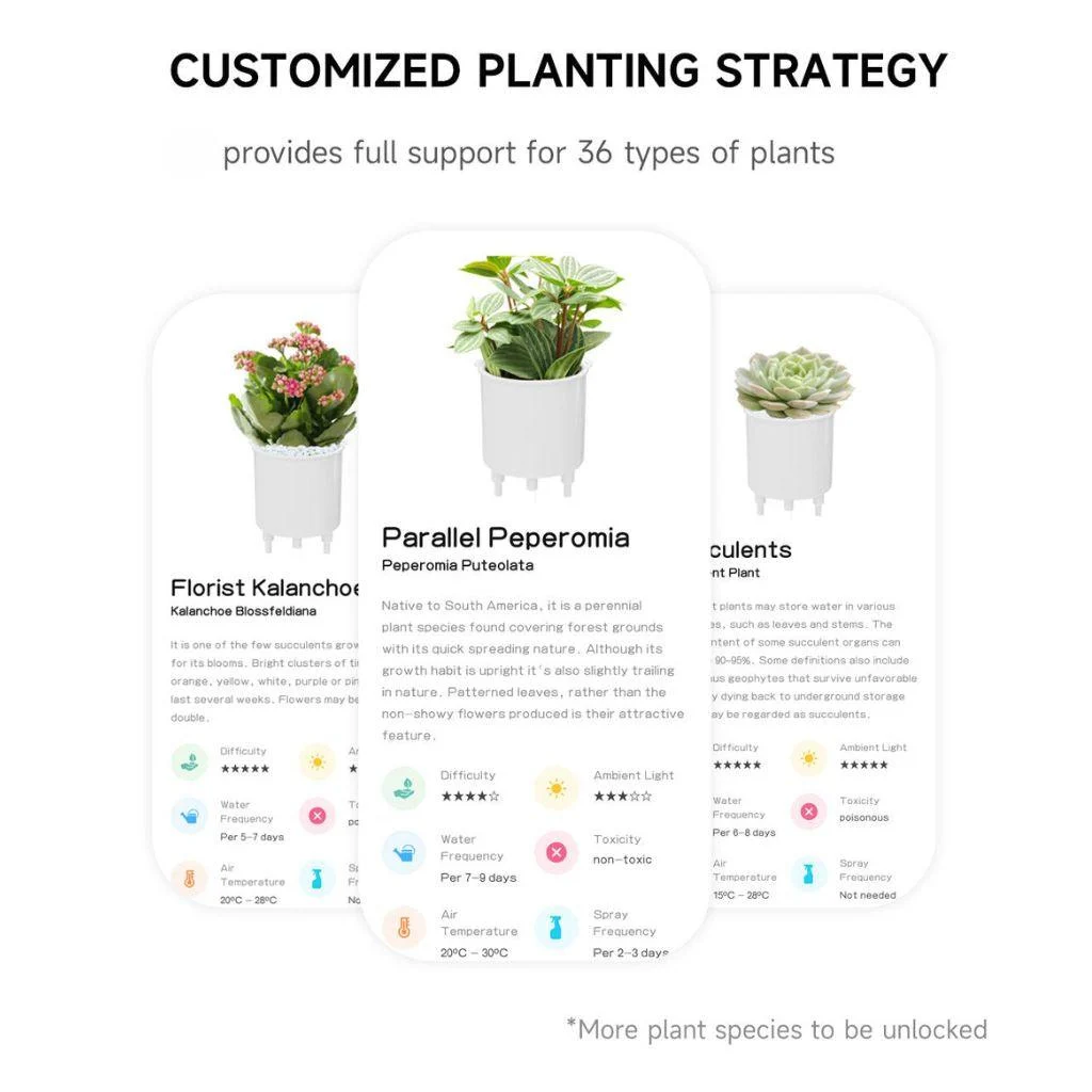 smart-plant-ivy-evolved_14_3d969ac5-6207-44ae-81f1-0b1d415e702d Smart Plant Ivy Evolved 14 3d969ac5 6207 44ae 81f1 0b1d415e702d
