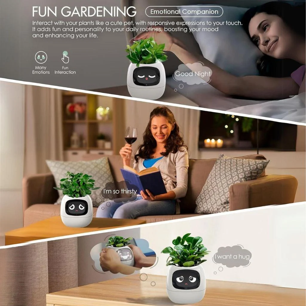 smart-plant-ivy-evolved_2 Smart Plant Ivy Evolved 2