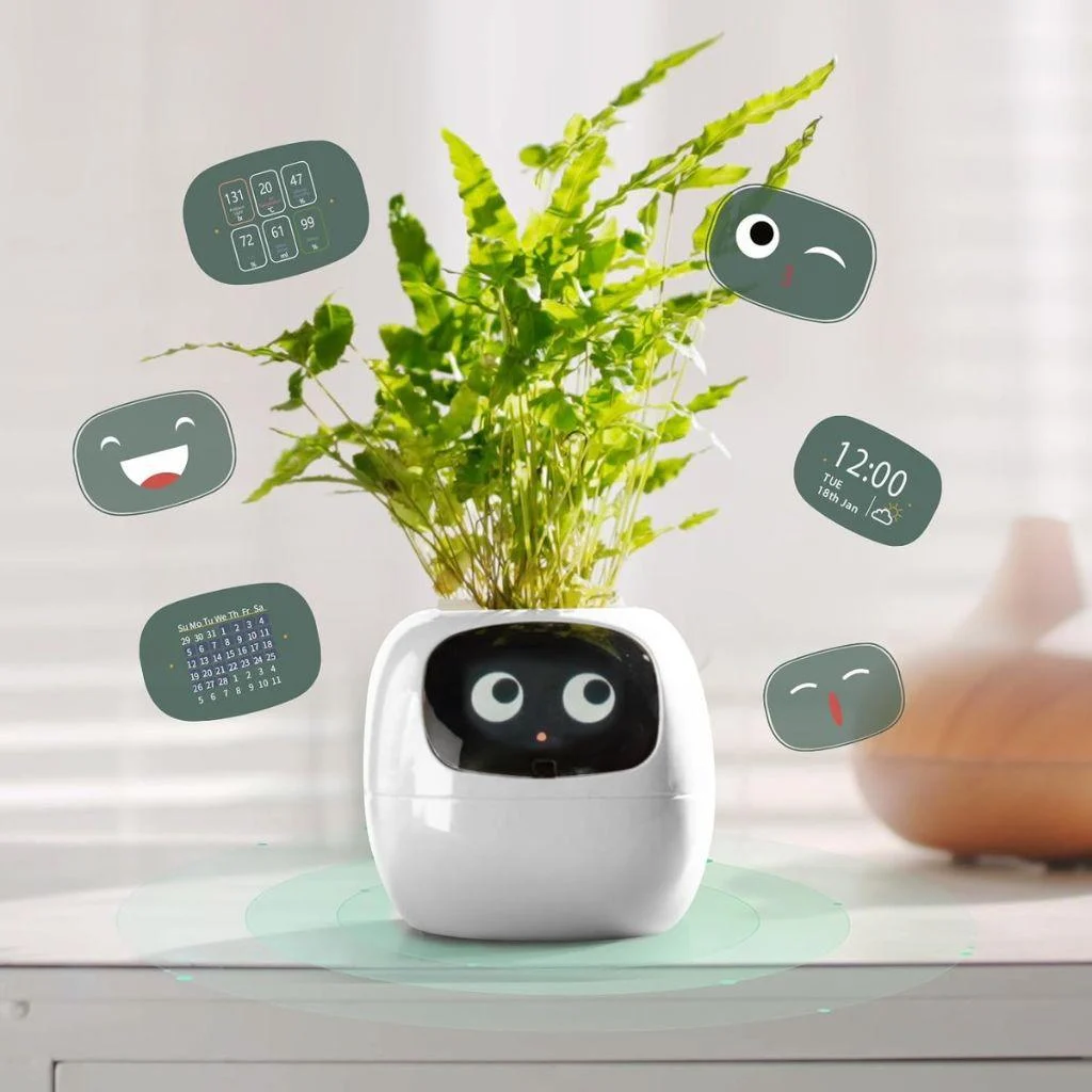 smart-plant-ivy-evolved_3 Smart Plant Ivy Evolved 3