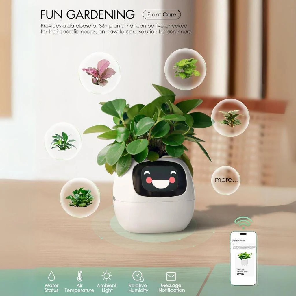 smart-plant-ivy-evolved_4 Smart Plant Ivy Evolved 4